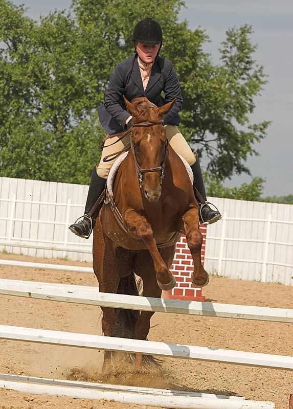 IMAGE: http://img.photobucket.com/albums/v218/PhotosGuy/Forum%20Junk/CMHA_6-30-07_0162.jpg?t=1183483838