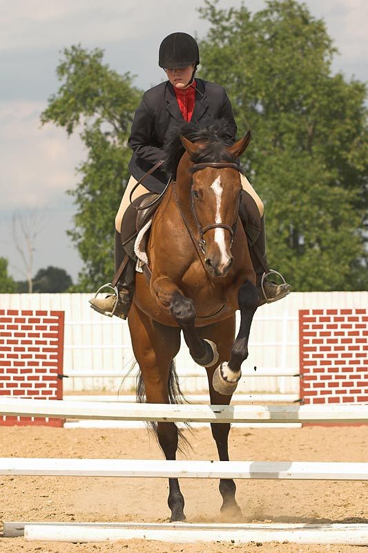 IMAGE: http://img.photobucket.com/albums/v218/PhotosGuy/Forum%20Junk/CMHA_6-30-07_0178.jpg?t=1183483883