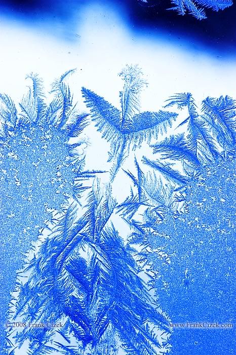 IMAGE: http://img.photobucket.com/albums/v218/PhotosGuy/Forum%20Junk/Frost_1-24-09_0180A.jpg?t=1233458811
