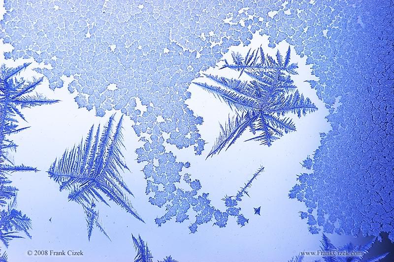 IMAGE: http://img.photobucket.com/albums/v218/PhotosGuy/Forum%20Junk/Frost_1-24-09_0218-02A.jpg?t=1233458975