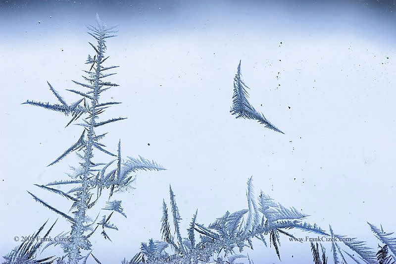 IMAGE: http://img.photobucket.com/albums/v218/PhotosGuy/Forum%20Junk/Frost_1-24-09_0252A.jpg?t=1237036977