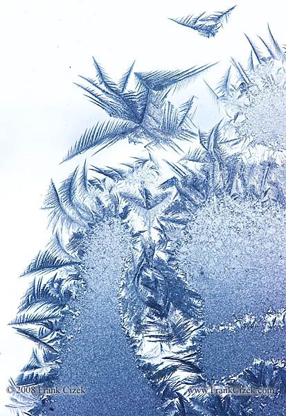 IMAGE: http://img.photobucket.com/albums/v218/PhotosGuy/Forum%20Junk/Frost_1-24-09_0266A.jpg?t=1233460003
