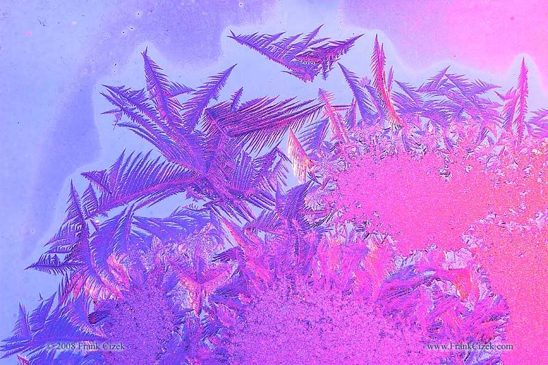 IMAGE: http://img.photobucket.com/albums/v218/PhotosGuy/Forum%20Junk/Frost_1-24-09_0348.jpg?t=1233459217