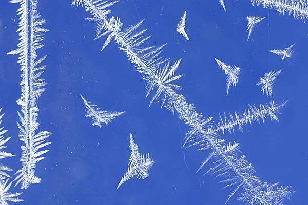 IMAGE: http://img.photobucket.com/albums/v218/PhotosGuy/Forum%20Junk/WF-Forest-R-_0258.jpg