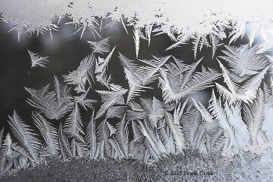 IMAGE: http://img.photobucket.com/albums/v218/PhotosGuy/Frost%202015/Frost_2-15-15_0128.jpg