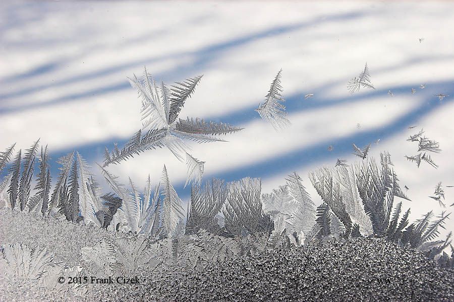 IMAGE: http://img.photobucket.com/albums/v218/PhotosGuy/Frost%202015/Frost_2-15-15_0135.jpg