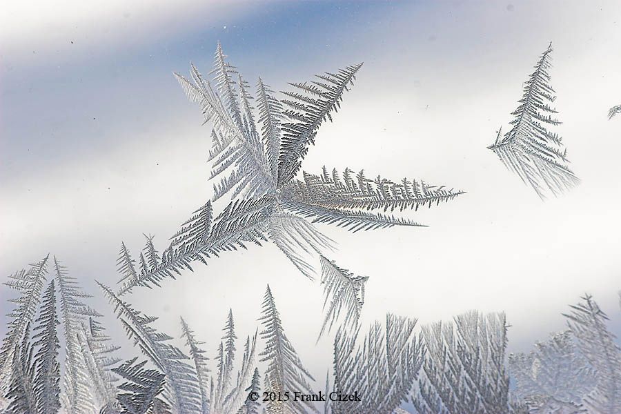 IMAGE: http://img.photobucket.com/albums/v218/PhotosGuy/Frost%202015/Frost_2-15-15_0145.jpg
