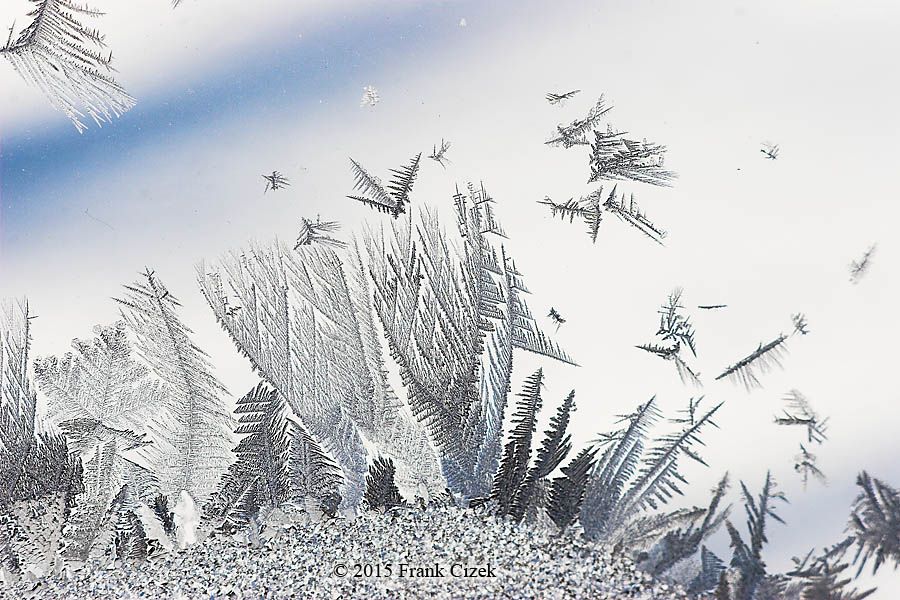 IMAGE: http://img.photobucket.com/albums/v218/PhotosGuy/Frost%202015/Frost_2-15-15_0147.jpg