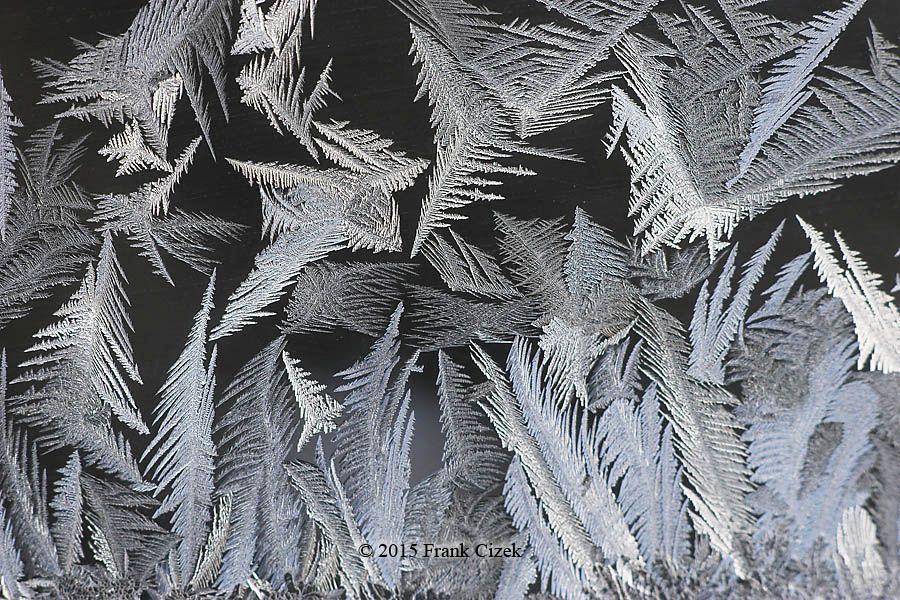 IMAGE: http://img.photobucket.com/albums/v218/PhotosGuy/Frost%202015/Frost_2-15-15_0151.jpg