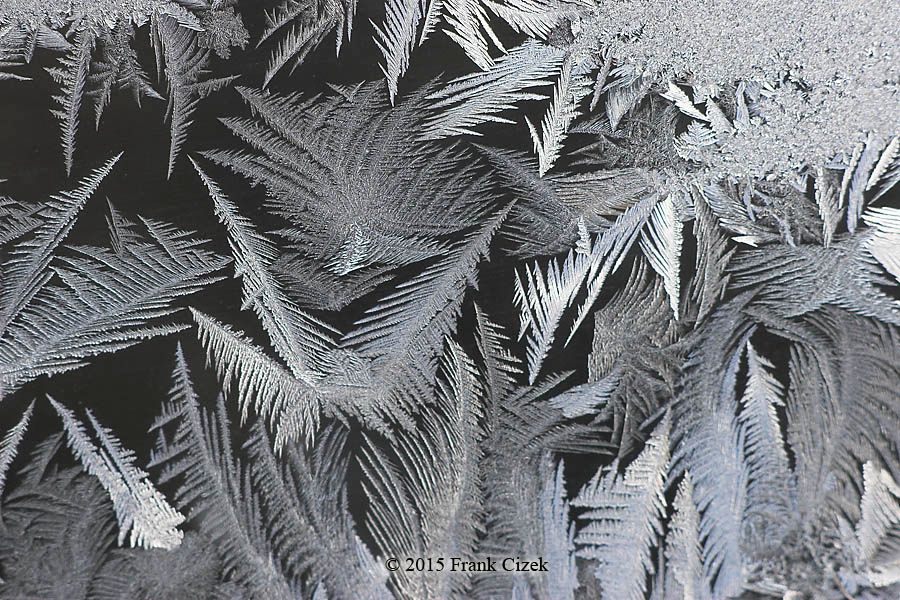 IMAGE: http://img.photobucket.com/albums/v218/PhotosGuy/Frost%202015/Frost_2-15-15_0152.jpg