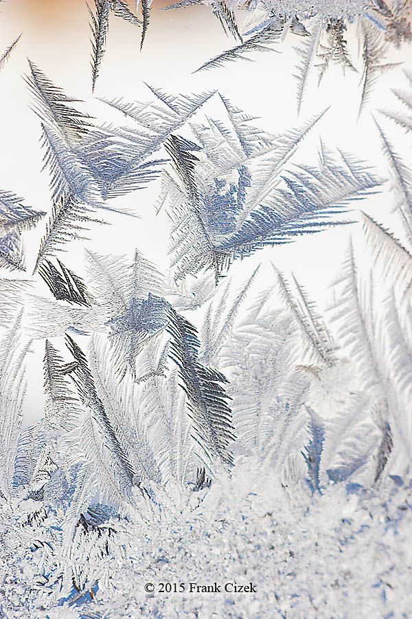 IMAGE: http://img.photobucket.com/albums/v218/PhotosGuy/Frost%202015/Frost_2-15-15_0159.jpg