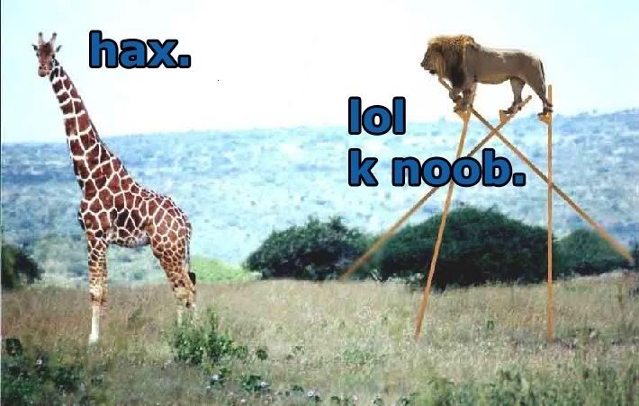 hax.jpg