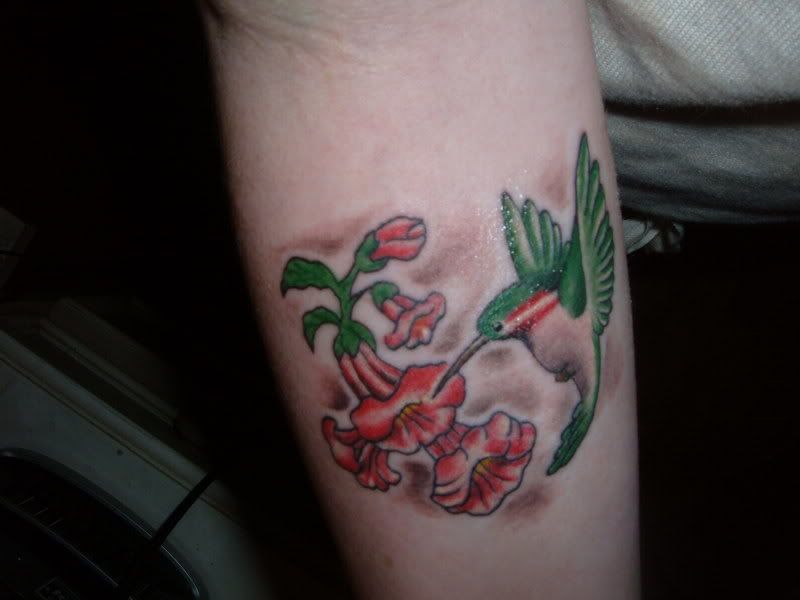 Official Tour of PinUp's Tattoos'http://img.photobucket.com/albums/v218/ScottieDramaQueen/2008_1221Image0034.jpg'