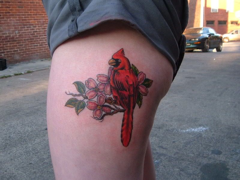 Official Tour of PinUp's Tattoos'http://img.photobucket.com/albums/v218/ScottieDramaQueen/RandomPix002.jpg'