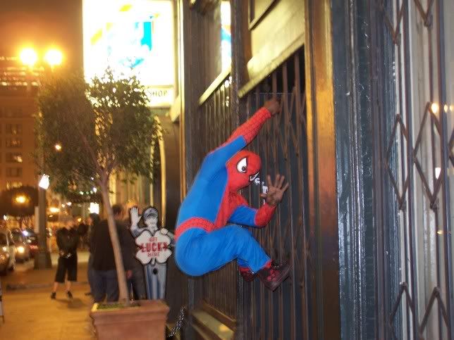 Spiderman Midget scales Bar 107 wall