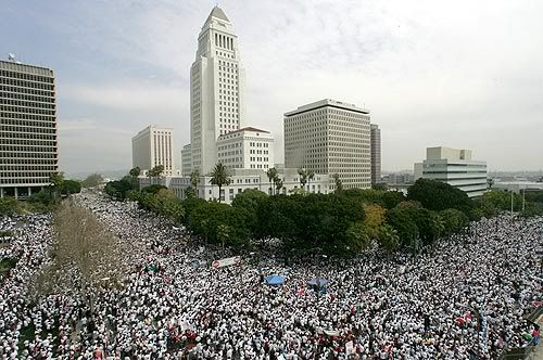 HR4437 Protest - Image from LA Times