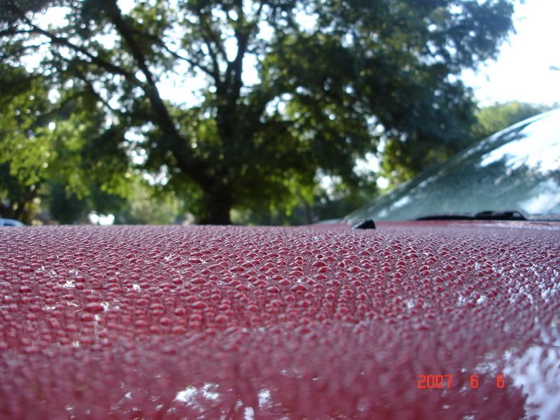 DSC00692.jpg