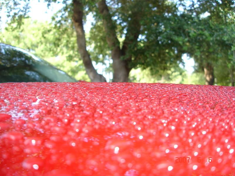 DSC00694.jpg