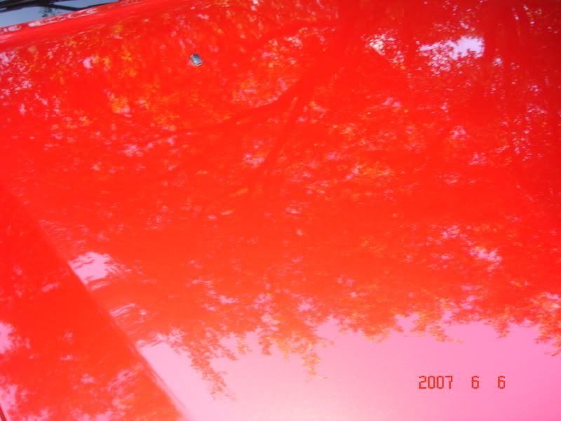 DSC00702.jpg