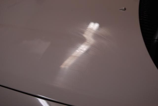 DSC_0181.jpg
