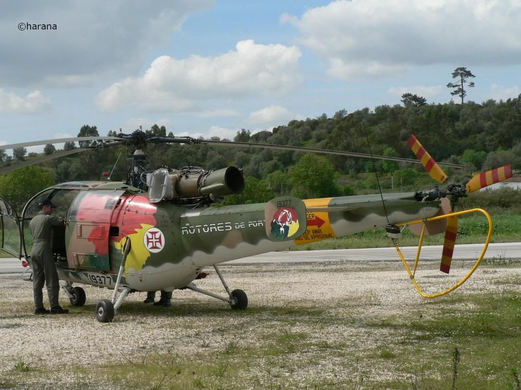 http://img.photobucket.com/albums/v218/p_shadow/FAP/SA31619377-Santarem01Abr06.jpg