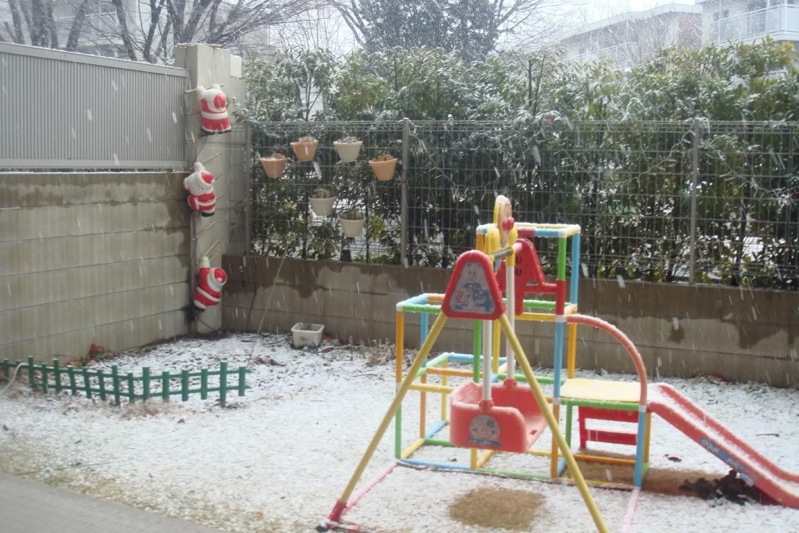 Snowfall in our garden