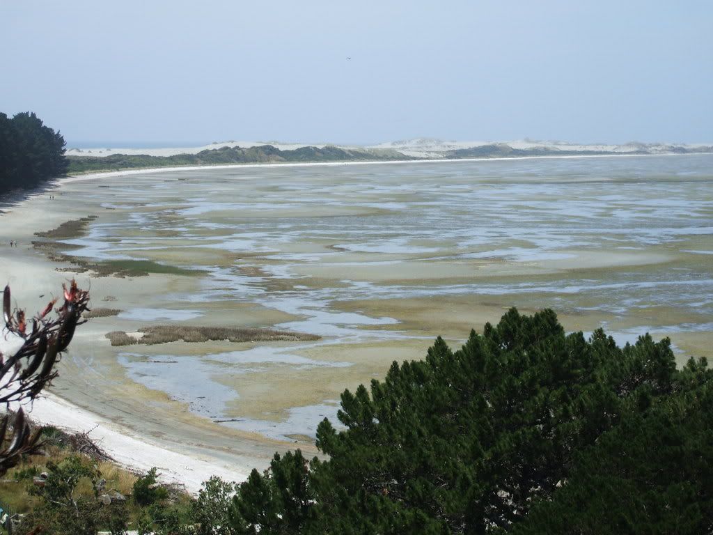 View of the Farewell Spit from the Paddle Crab