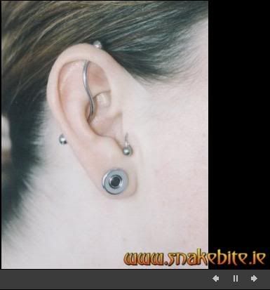 I always wanted a scaffold piercing until I found out about the S-shaped bar 