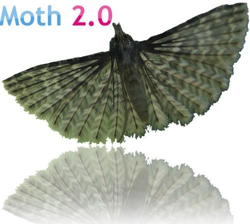 [Image: moth2pointoh.jpg]