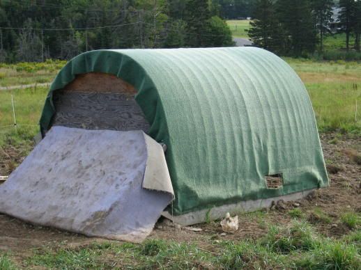 Any ideas for inexpensive shelter? - Homesteading Questions
