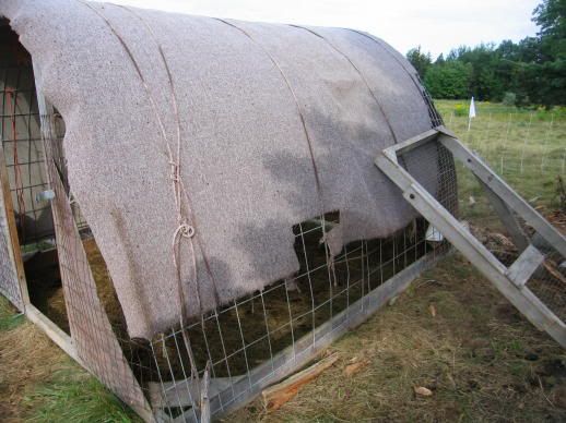 Any ideas for inexpensive shelter? - Homesteading Questions
