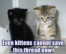 [Image: kittens-cant-save.jpg]