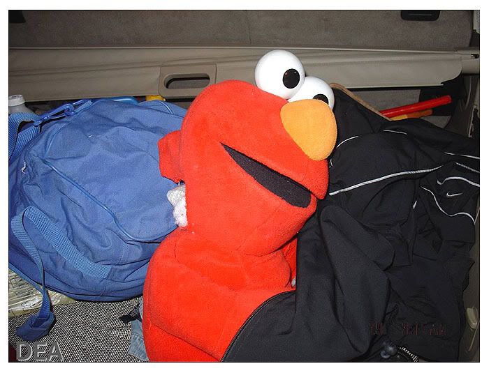 Elmo, drug mule