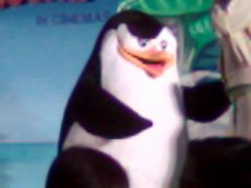 penguins again