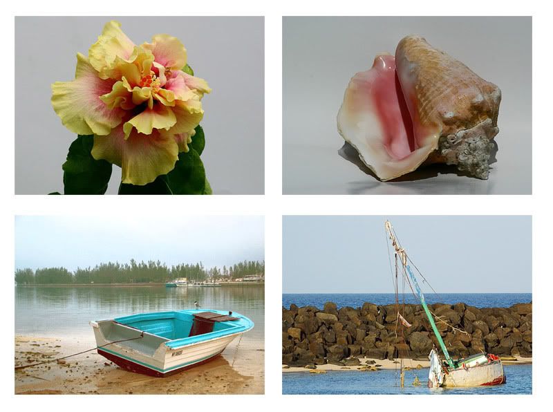 IMAGE: http://img.photobucket.com/albums/v220/AnnGay/4photos.jpg