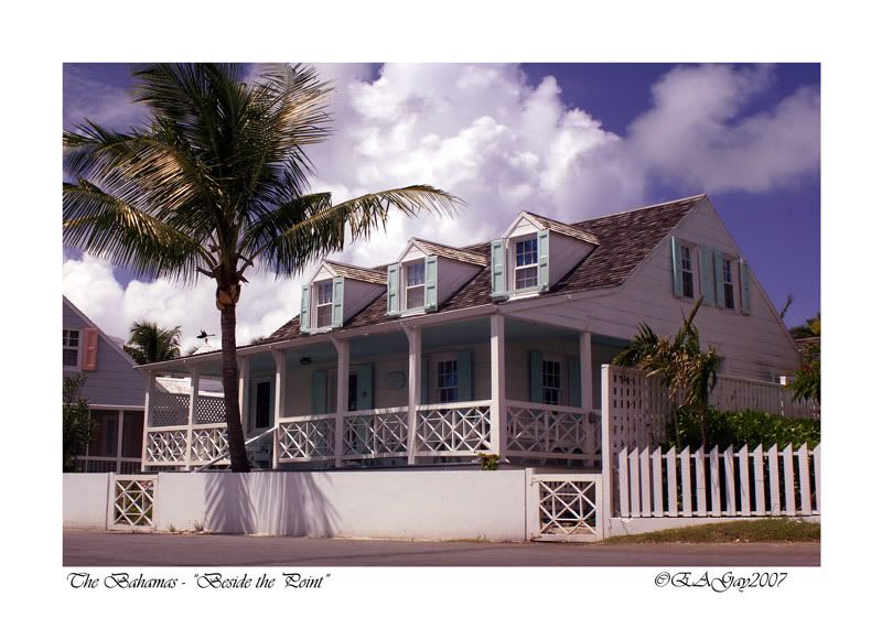 IMAGE: http://img.photobucket.com/albums/v220/AnnGay/BesidethePointColourweb.jpg