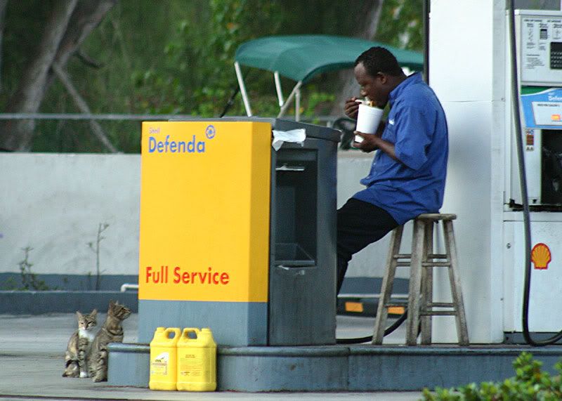 IMAGE: http://img.photobucket.com/albums/v220/AnnGay/CRW_0891.jpg