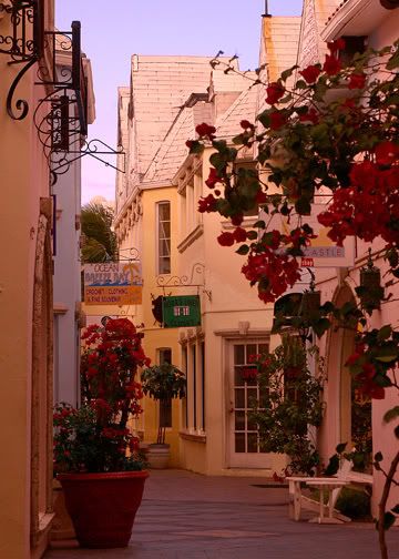 IMAGE: http://img.photobucket.com/albums/v220/AnnGay/IBOriginal.jpg