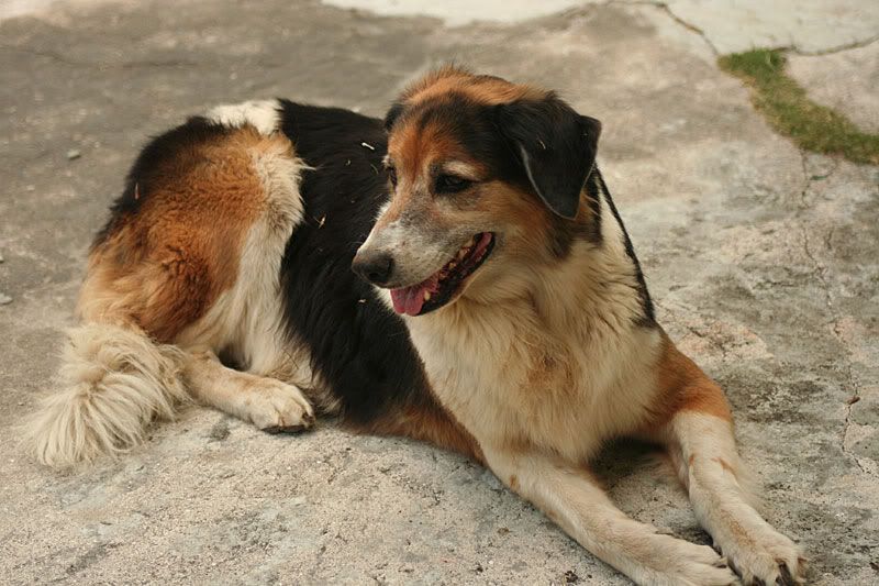 IMAGE: http://img.photobucket.com/albums/v220/AnnGay/IMG_0858.jpg