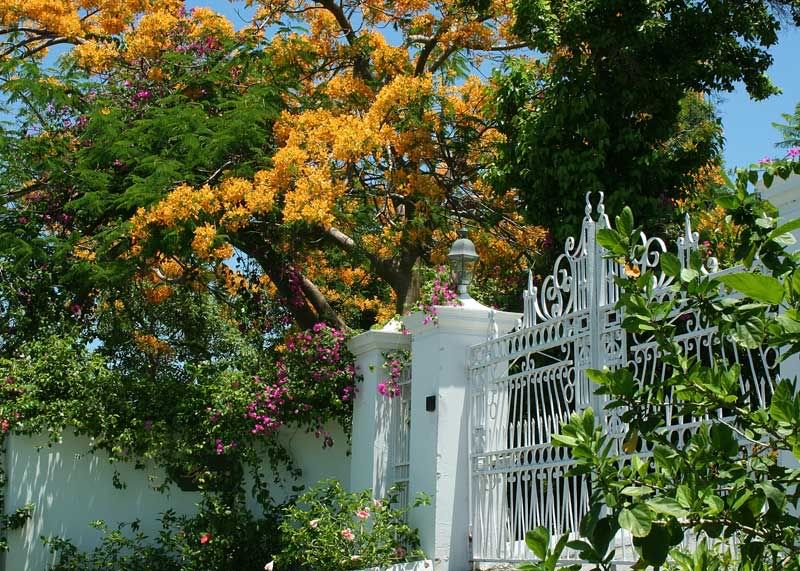 IMAGE: http://img.photobucket.com/albums/v220/AnnGay/IMG_1948.jpg