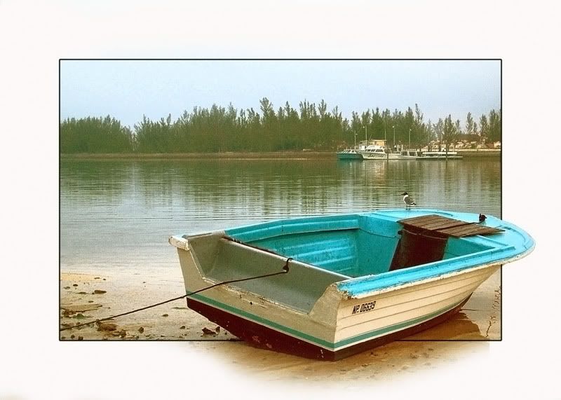 IMAGE: http://img.photobucket.com/albums/v220/AnnGay/Low-Tide2.jpg