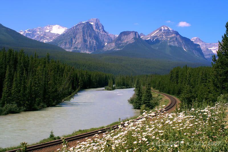 IMAGE: http://img.photobucket.com/albums/v220/AnnGay/MorantsCurveWeb.jpg