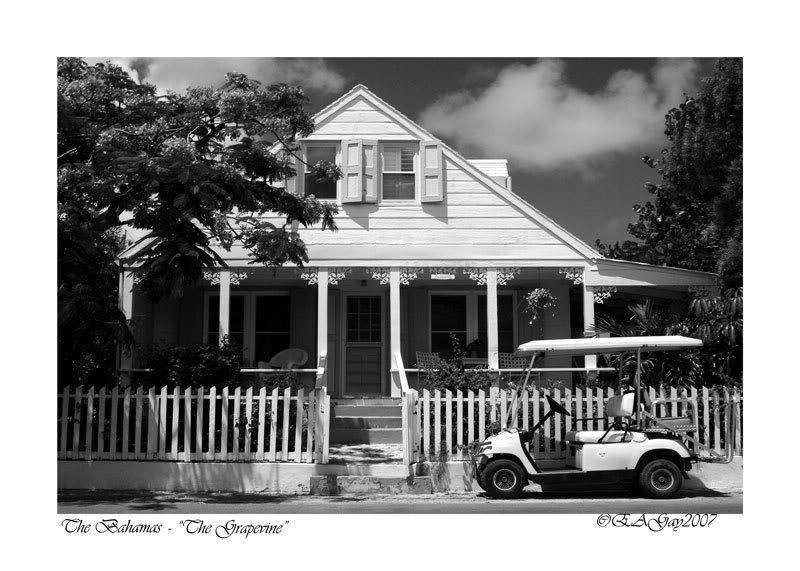 IMAGE: http://img.photobucket.com/albums/v220/AnnGay/TheBahamasBWweb.jpg