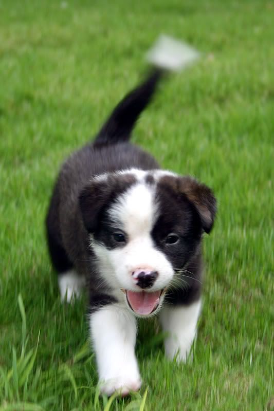 IMAGE: http://img.photobucket.com/albums/v220/AnnGay/Wait4MeWeb.jpg