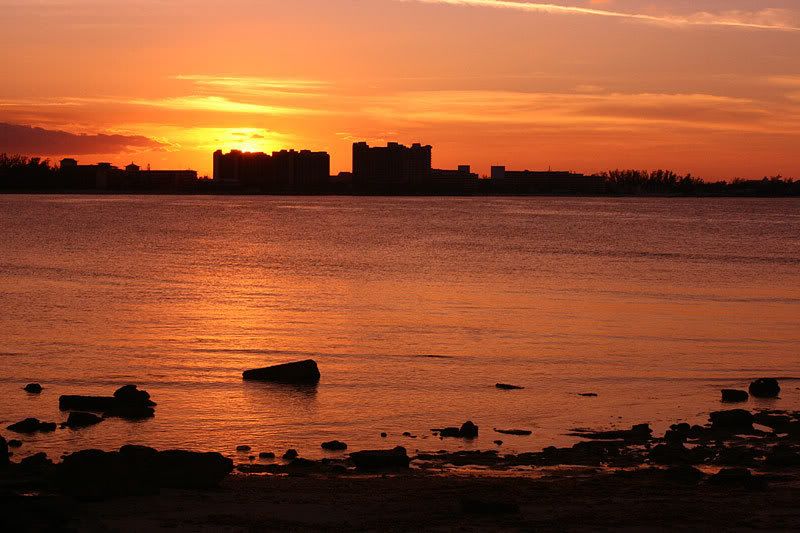 IMAGE: http://img.photobucket.com/albums/v220/AnnGay/goldsunset.jpg