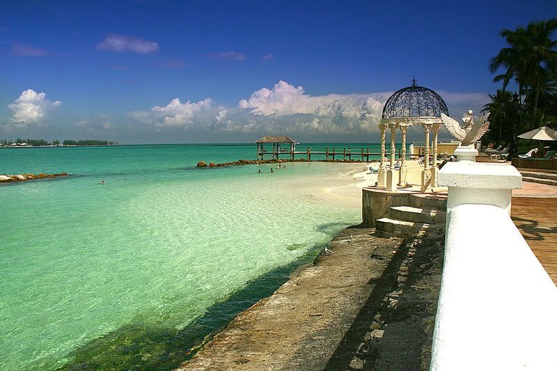 IMAGE: http://img.photobucket.com/albums/v220/AnnGay/sandalsviews0208.jpg