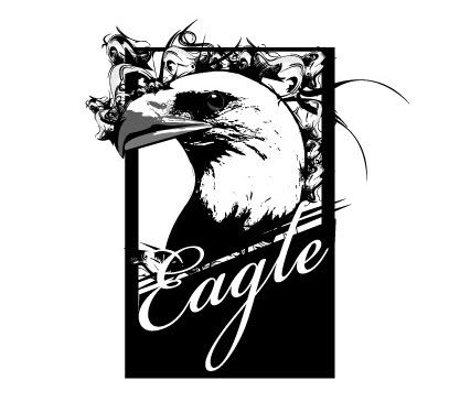 photobucket eagle Pictures, Images and Photos