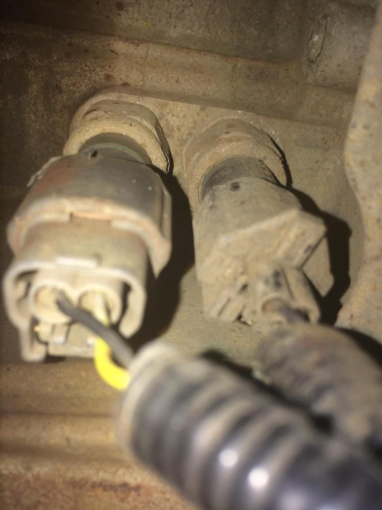 D40 Reverse Light Faulty?