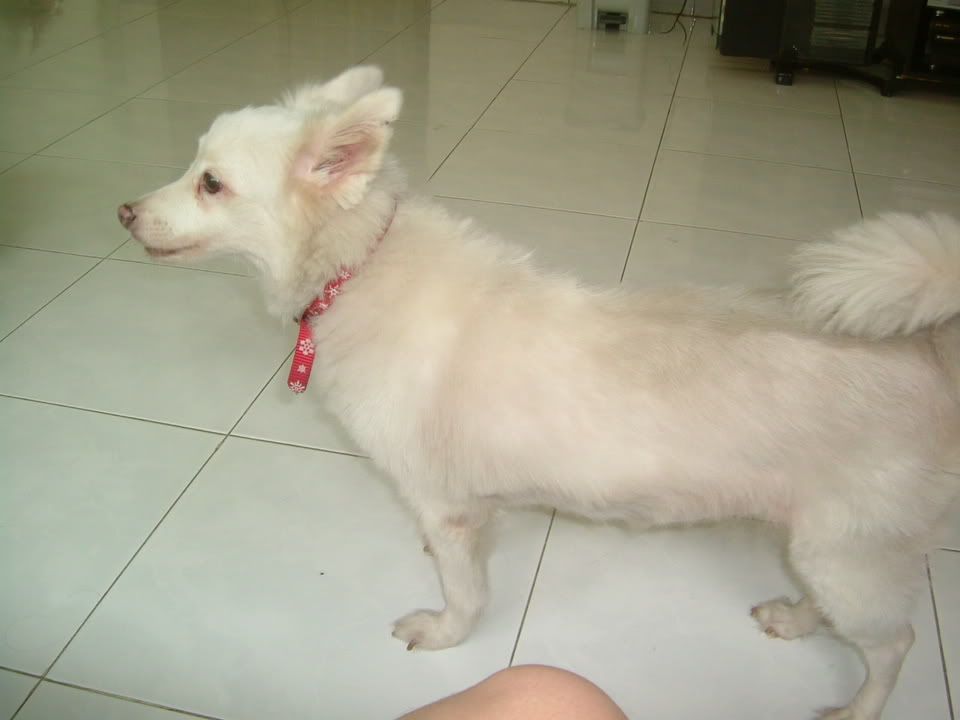 Image hosted by Photobucket.com