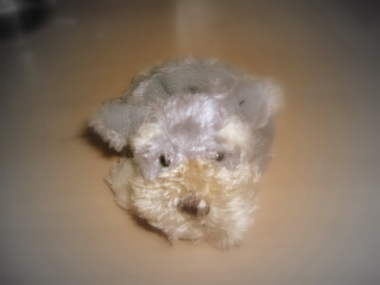 Image hosted by Photobucket.com